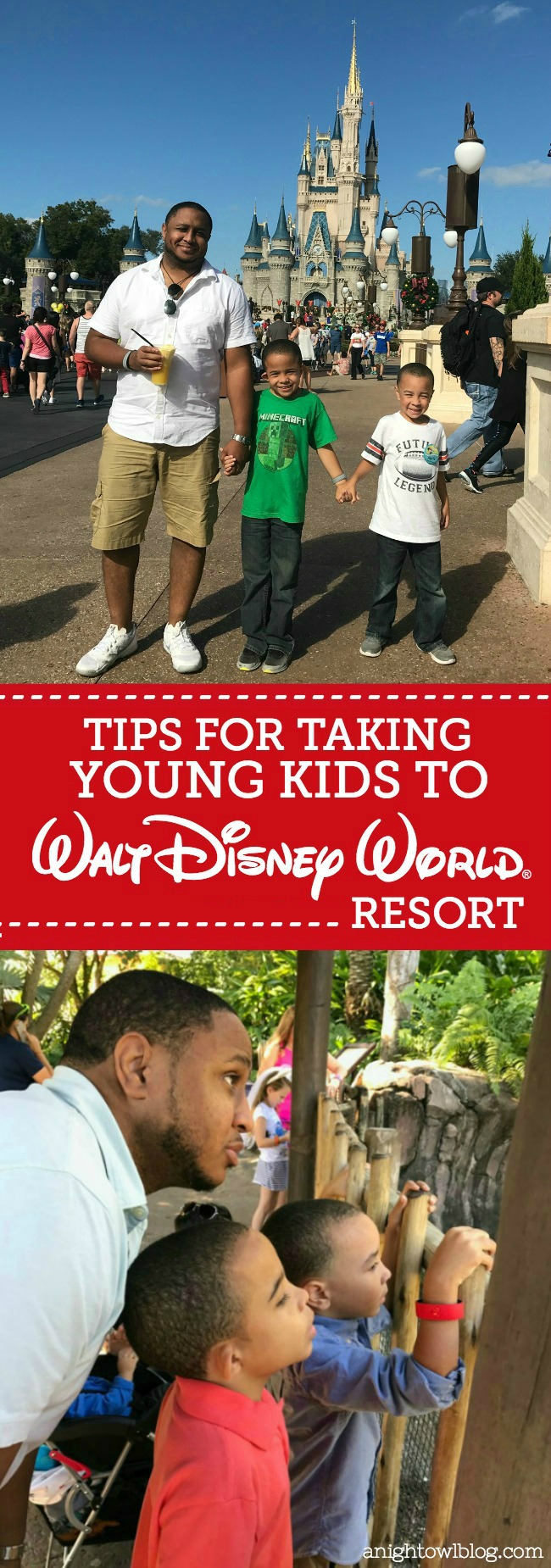 Thoughts and experiences visiting The Walt Disney World Theme Parks with young kids and our tips for navigating and making the most of your trip!