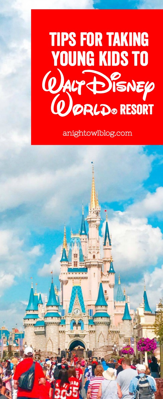 Planning a Disney Vacation with little ones? Check out our thoughts and experiences visiting The Walt Disney World Theme Parks with young kids and our tips for navigating and making the most of your trip!